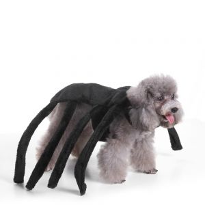 Pet Li ציוד ואביזרים לכלב בגדים לכלב Pet Clothes Christmas Halloween Scared Black Widow Spider Harness Dog Costume