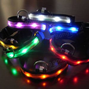 Pet Li ציוד ואביזרים לכלב קולר לכלב Size L Nylon Safety Flashing Glow Light LED Pet Dog Collar 