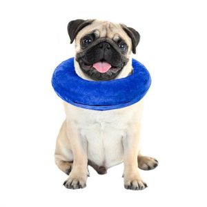 Pet Li ציוד ואביזרים לכלב קולר לכלב Inflatable Pet Collar for Dog Cat Wound Healing E-Collar Protection Medical Cone Collar Soft Pet Recovery Collar