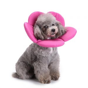 Pet Li ציוד ואביזרים לכלב קולר לכלב Pet Collars Protective Hood Anti-Bite Anti-Scratch Neck Protection Pet Dog Collar
