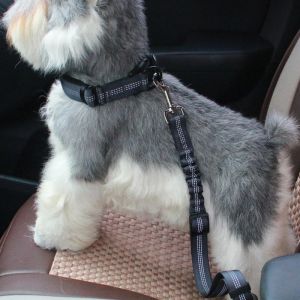 Pet Li ציוד ואביזרים לכלב בגדים לכלב Nylon Reflective Pet Safety Leash Multicolor Dog Traction Rope Outdoor Pet Supplies