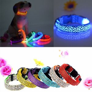 Pet Li ציוד ואביזרים לכלב קולר לכלב M Pet Cat Dog Nylon LED Flashing Safety Neck Collar