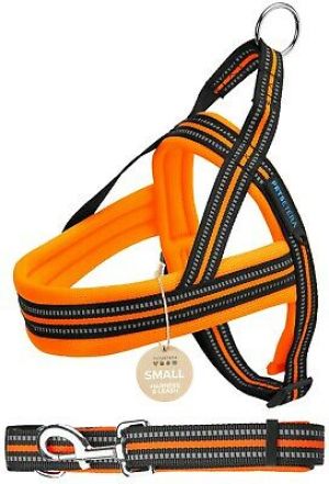 Pet Li ציוד ואביזרים לכלב רצועת ריצה לכלב    PETSETERA No Pull Dog Harness Leash Set Reflective Padded Mesh Sport Small