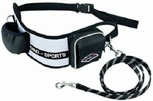 Pet Li ציוד ואביזרים לכלב רצועת ריצה לכלב    D&D Sports Active Walker, Leash & Belt, Reflective, Small - Med Dogs, Max 44lb