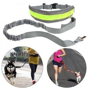 Pet Li ציוד ואביזרים לכלב רצועת ריצה לכלב    Pet Elastic Belt Running Dog Leash Lead Sports Walking Hands free Waist Strip