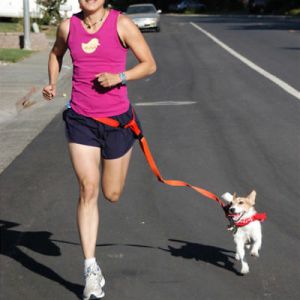 Pet Li ציוד ואביזרים לכלב רצועת ריצה לכלב    New Sport Adjustable Walk Waist Pet Dog Leash Running Jogging Puppy Lead Collar