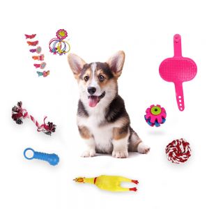 Pet Li ציוד ואביזרים לכלב צעצועים לכלב 16pcs Dogs Grind Their Teeth And Bite Toys  Sound Screaming Chicken Horn  Pet Toys 