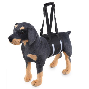 Pet Li ציוד ואביזרים לכלב רצועות אופנה לכלב Dog Waist Harness Gog Harness Pet Protection Belt Nylon Clasp Protecting Waist Belt Sport Running Leash Pet Dogs Product