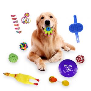 Pet Li ציוד ואביזרים לכלב צעצועים לכלב 18pcs Dogs Grind Their Teeth And Bite Toys  Resistance to bite toys  Pet Toys  