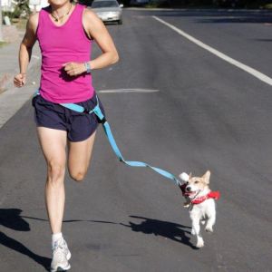 Pet Li ציוד ואביזרים לכלב רצועת ריצה לכלב רצועת מותן לכלב