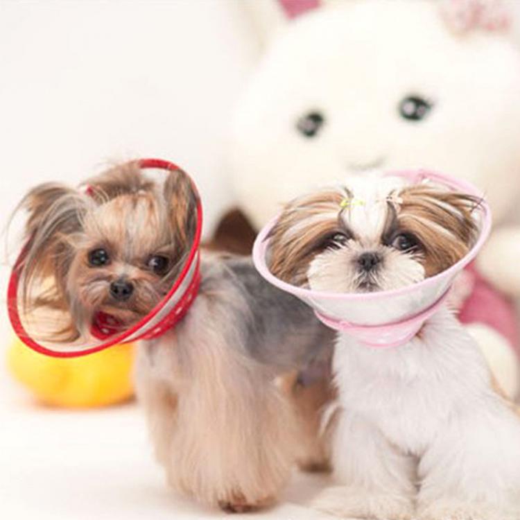 Pet Li ציוד ואביזרים לכלב קולר לכלב XL Dog Cat Bite-proof Elizabethan Pet Collar E-Collar Wound Healing Cone Protection 