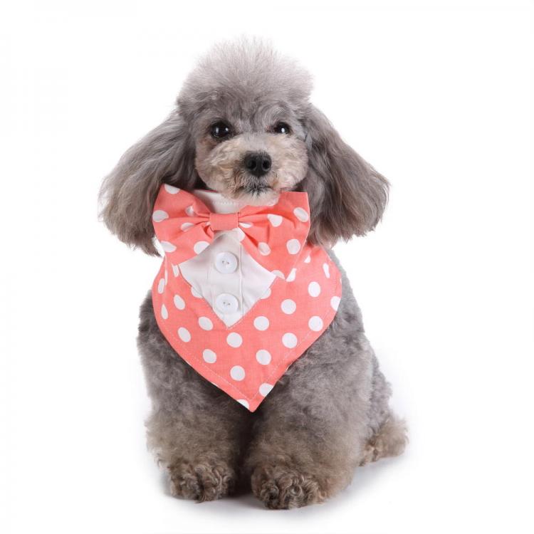 Pet Li ציוד ואביזרים לכלב קולר לכלב Formal Pets Bowtie Dog Cat Pets Adjustable Bow Ties and Collar 