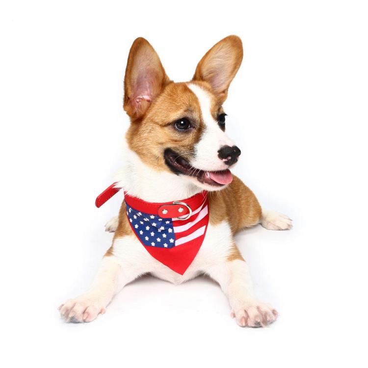 Pet Li ציוד ואביזרים לכלב קולר לכלב Yani HG-PLJ1 Pet Dog American Flag Collar Pet PU Canvas Decorative Cool Collar 