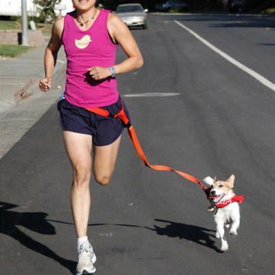 Pet Li ציוד ואביזרים לכלב רצועת ריצה לכלב    New Sport Adjustable Walk Waist Pet Dog Leash Running Jogging Puppy Lead Collar