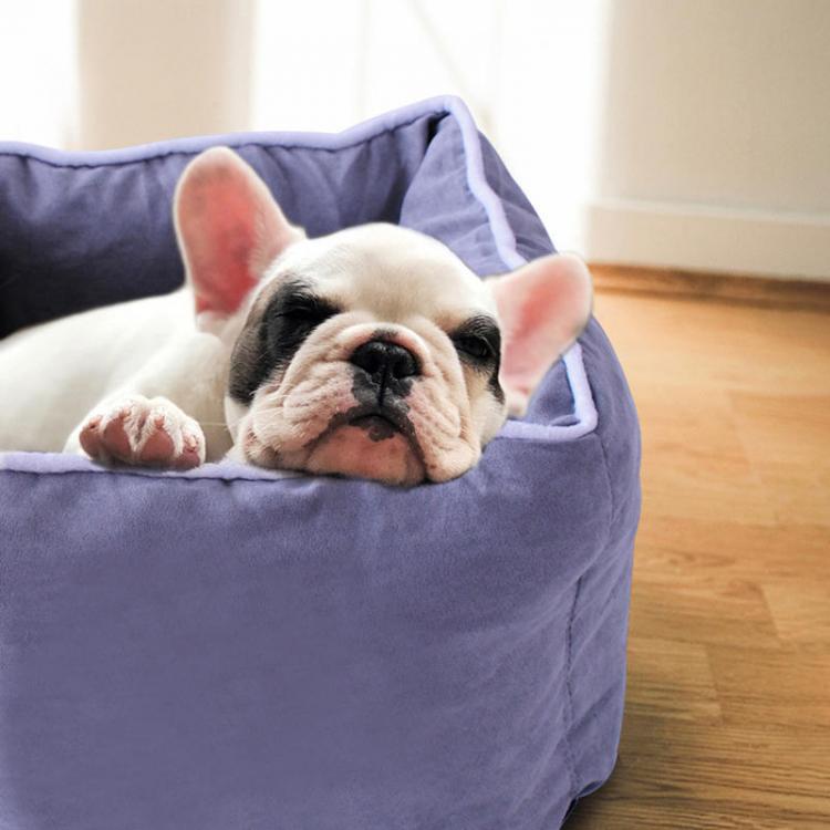 Pet Li ציוד ואביזרים לכלב מיטות לכלב 6 Colors Pet Dog Cat Square Soft Sleeping Box Portable Pure Color Pet Bed
