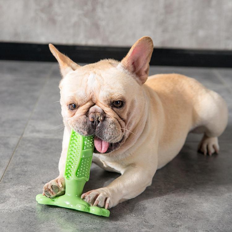 Pet Li ציוד ואביזרים לכלב צעצועים לכלב Dog Toothbrush Tooth Cleaner Brushing Stick Doggy Puppy Dental Care Chew Toys 